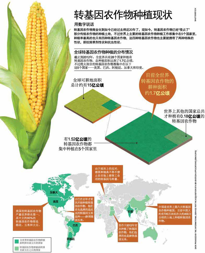 nature:转基因作物的真实面目