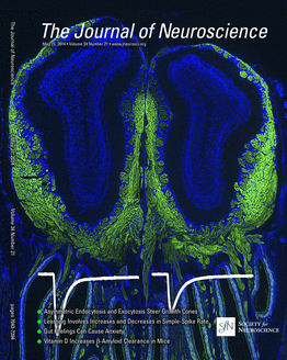 Gut Vagal Afferents Differentially Modulate Innate Anxiety and Learned Fear