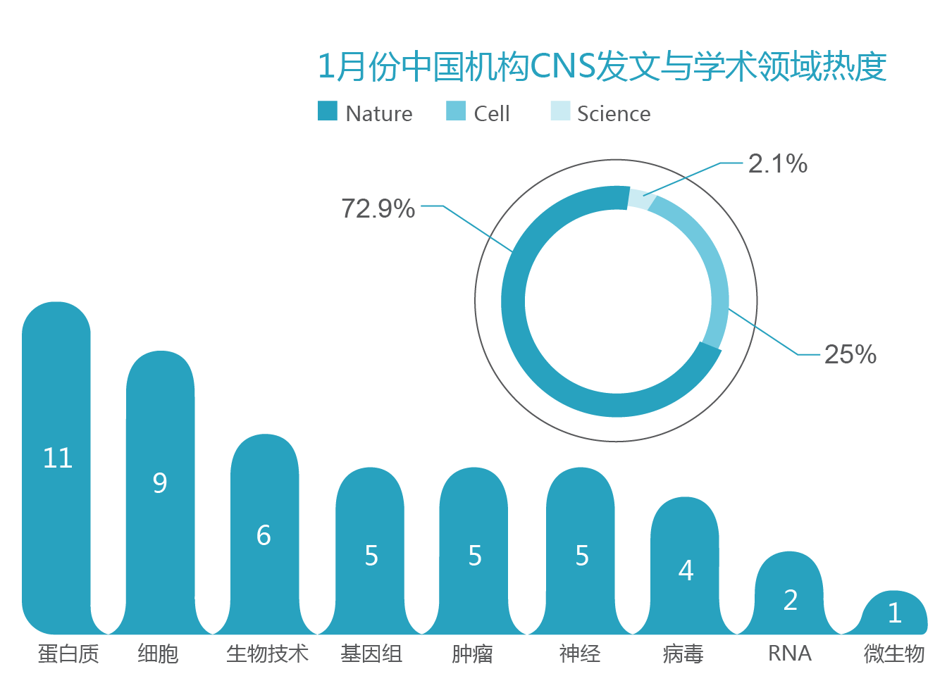 中国机构cns月报 14年1月