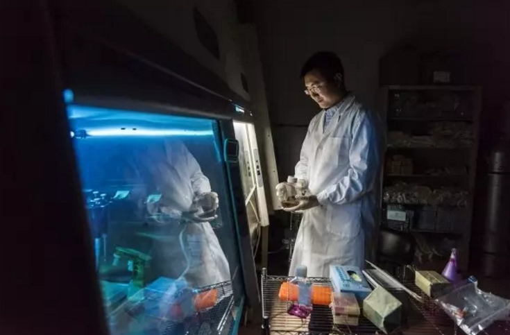 中国科学家与假冒试剂的秘密战争