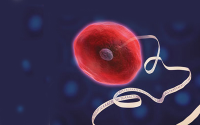 nat methods: ڵϸͻ