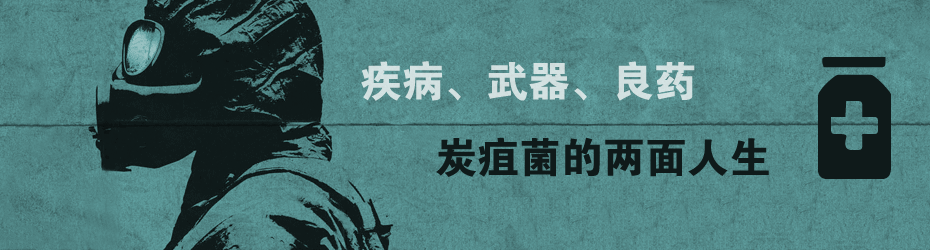 疾病、武器、良药:盘点炭疽菌的两面人生
