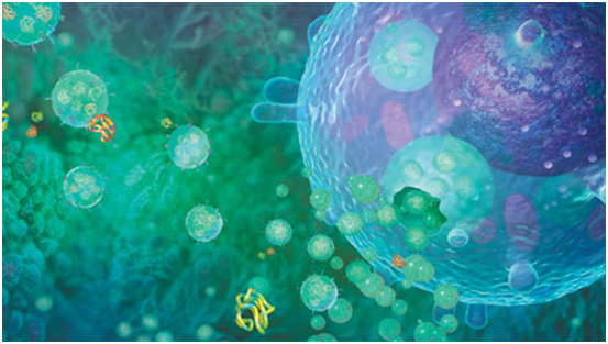 基因靶向:封锁异常基因表达,胰腺癌患者治疗新