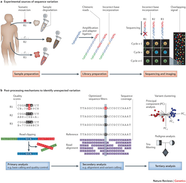 二代测序实验中的三类错误来源-基迪奥生物-圈