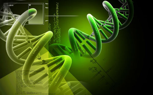 为什么说全基因组测序是下一个改变世界的技