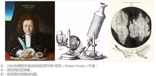 继英国学者罗伯特·胡克(robert hooke,1635-1703)于1665年使用复合