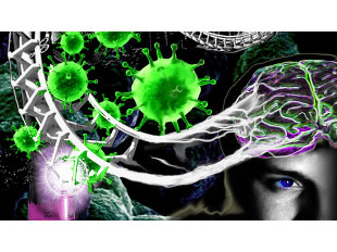 Science:基因治疗的时代来临-热点时事-圈子-生