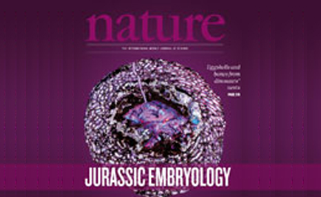 4月11日Nature 杂志生物学精选-观察-生物探索
