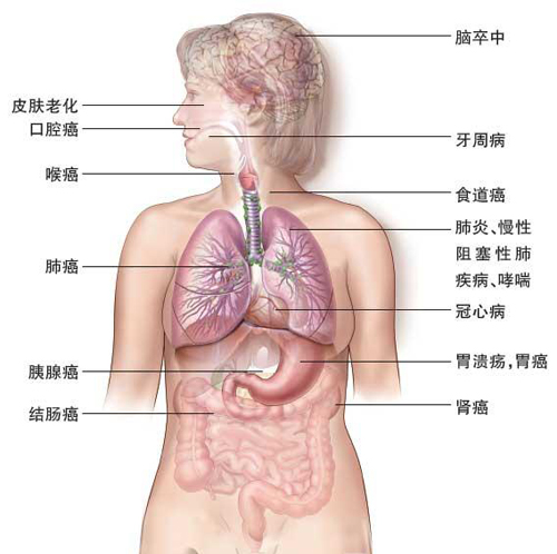 吸烟的危害50条