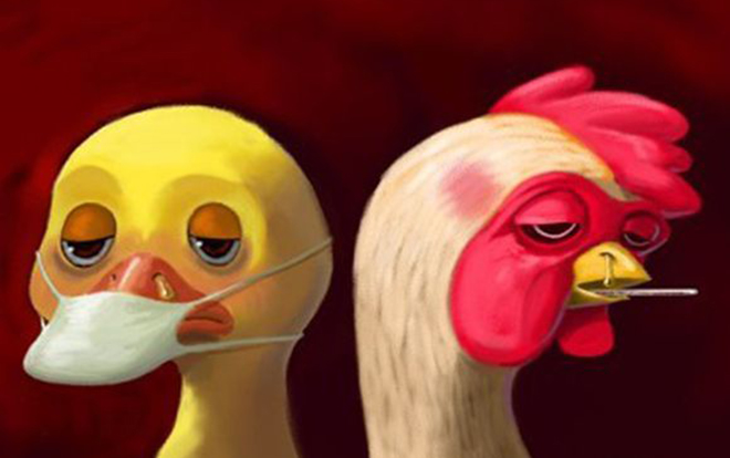 Nature Commun:是什么让禽流感跨越物种屏障