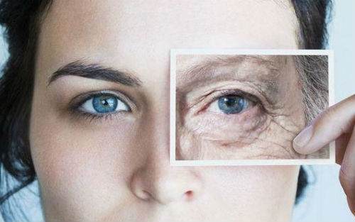 抗衰老神药--雷帕霉素-观察-生物探索