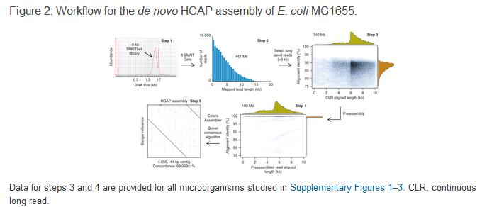 科学家改良基因组组装工艺流程 测序组装和分