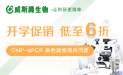 威斯腾促销 威斯腾促销
