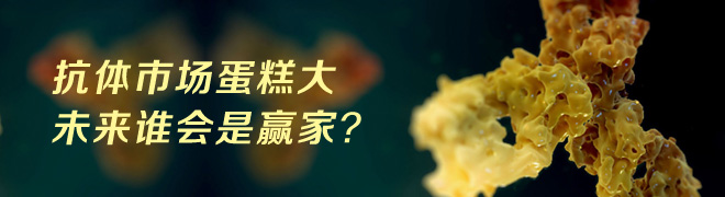 抗体市场蛋糕大,未来谁会是赢家?