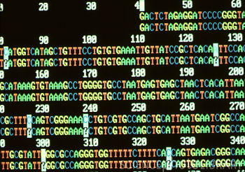 人类基因组计划-观察-生物探索