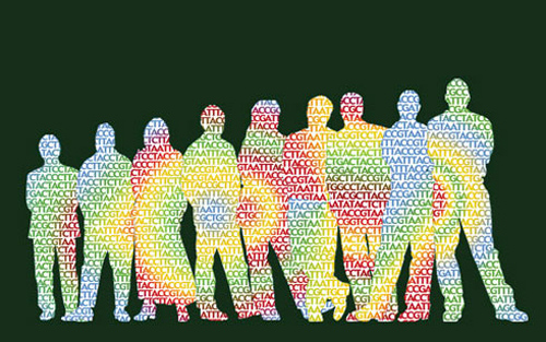 韩国投资5.4亿美元启动后基因组计划