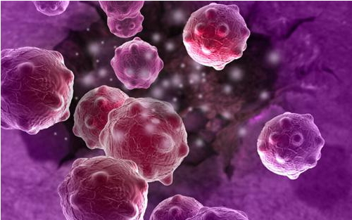 Cell：为实现精准医疗揭示系统性红斑狼疮的分子异质性