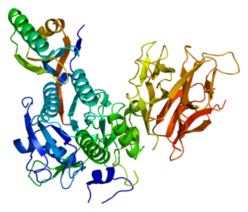 pcsk9蛋白质结构图.