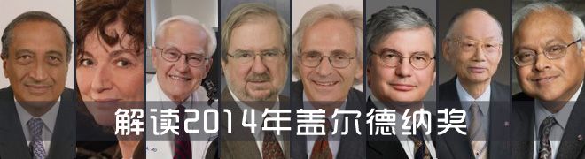 解读2014年盖尔德纳奖