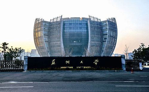 苏州大学Cancer Res癌症研究新成果-热点时事