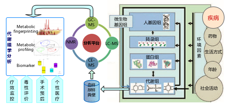 代谢组学技术在临床医学中的应用