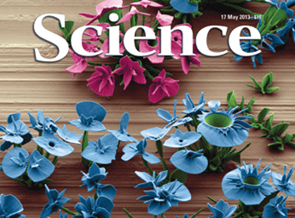5月17日Science杂志精选-观察-生物探索
