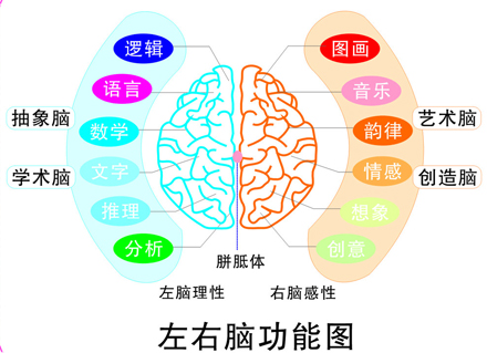 秘术师人口_反文字的数秘术师插画(3)