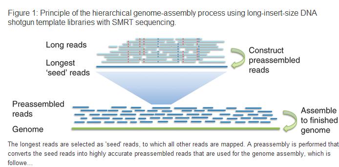 科学家改良基因组组装工艺流程 测序组装和分