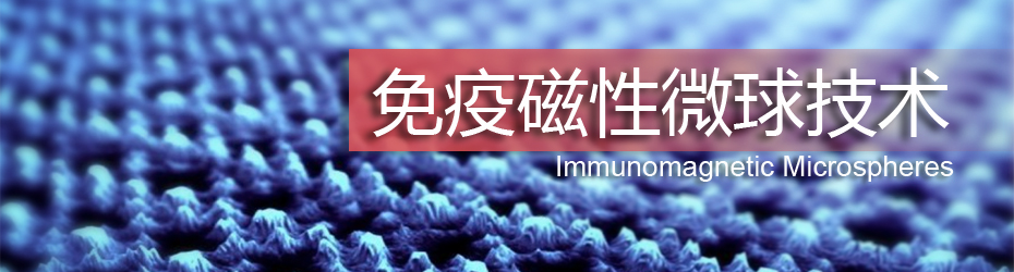 免疫磁性微球技术专题