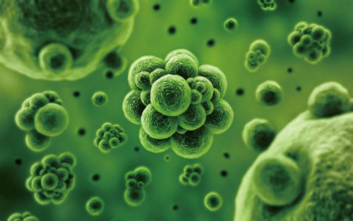 nature惊人发现:谁可媲美微生物组