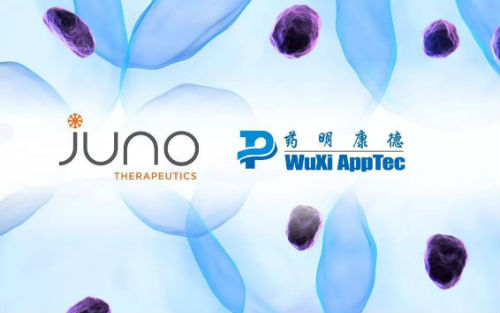 JUNO与药明康德建新公司,在华开发创新癌症细