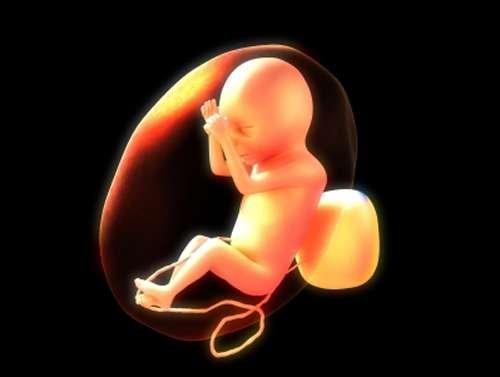 患有肺结核的夫妻可以做试管吗？能避免遗传不？