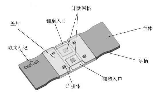 一次性细胞计数板