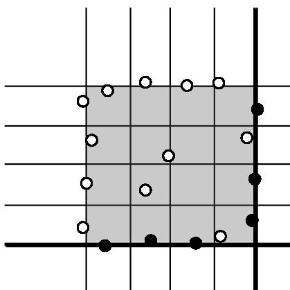 一次性细胞计数板