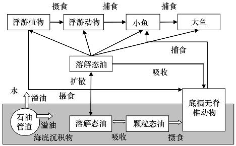 溢油食物链互相作用模型框图(图)