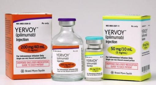 黑素瘤新药Yervoy的传奇研发之路-观察-生物探