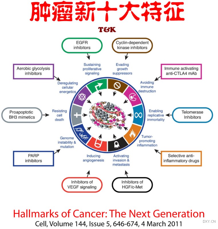 《细胞》 肿瘤 的新十大特征-观察-生物探索