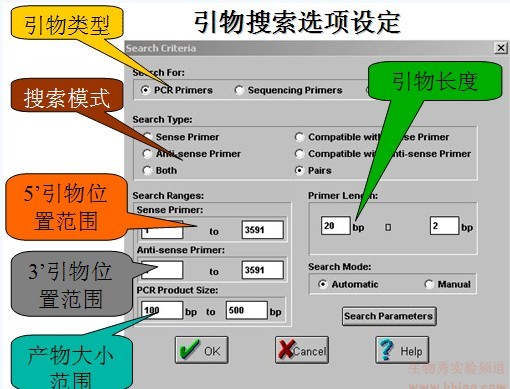 上游引物_上游引物 下游引物_引物3端上游引物