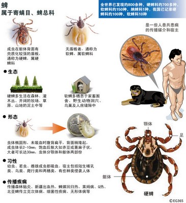 北京蜱虫提醒民众应学习蜱虫防护知识