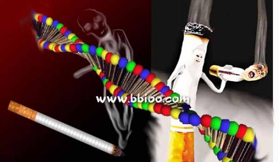 Addiction:吸烟成瘾主要因为遗传基因-观察-生物