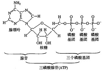 切换新版 