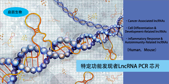 特定功能lncRNA.jpg