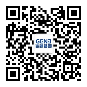 2-二维码-吉凯大图.jpg