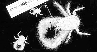 Nature：2011年最受欢迎的十大新闻