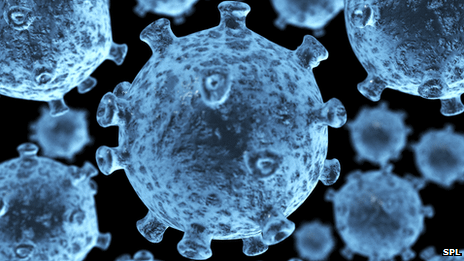 宿主细胞可利用SAMHD1蛋白“饿死”HIV病毒