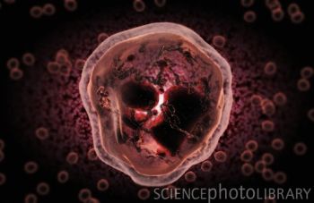 J Immunol ：肺部原始白介素－5产生细胞具有“双刃剑”作用