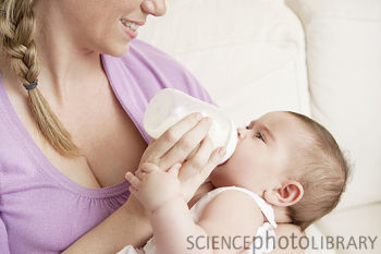 Nat.Med.：李蓬解析Cidea基因缺失导致乳汁“营养不良”