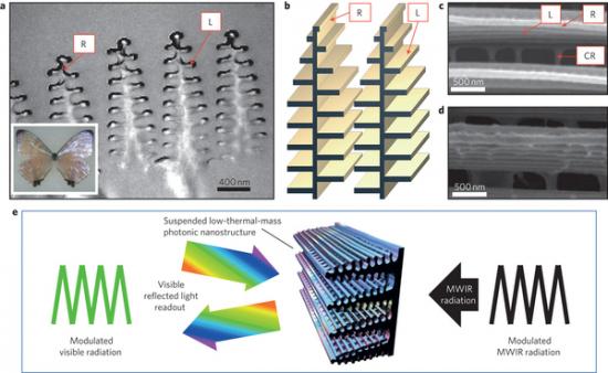 Nat Photonics：仿生传感器可感知热量