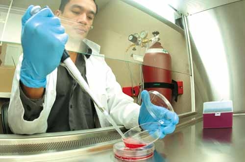 我国科学家探索治疗“血癌”新方法获显效