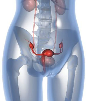 中国科学家找到“狙击”卵巢癌新办法